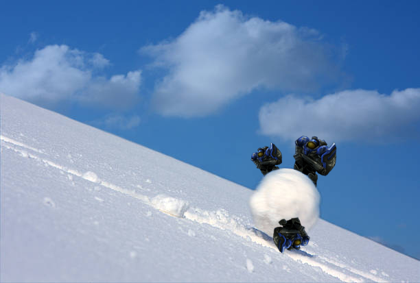 Marine Snowball